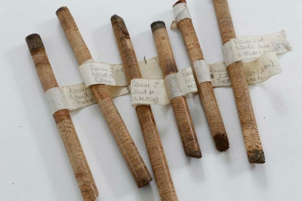Altersbestimmung von Holzbauteilen mittels Jahrringanalyse von Bohrproben